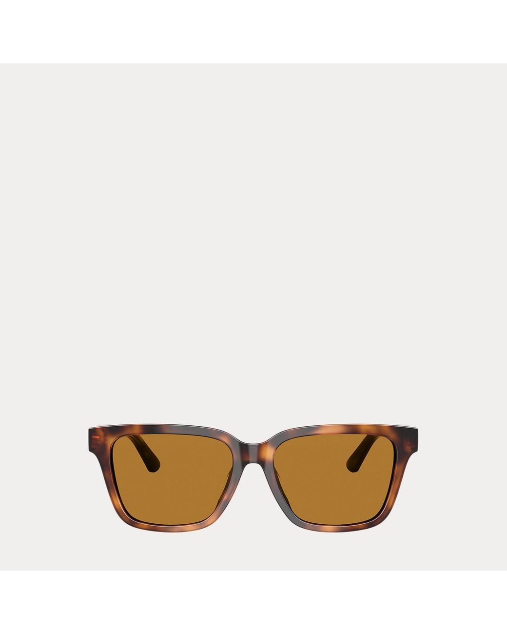 Polo Ralph Lauren Brown Polo Rectangle Cat-Eye Sunglasses