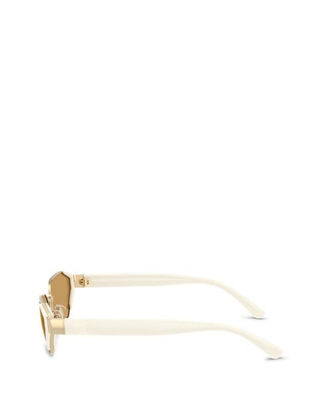 Ralph Lauren Natural Rl Rectangle Sunglasses