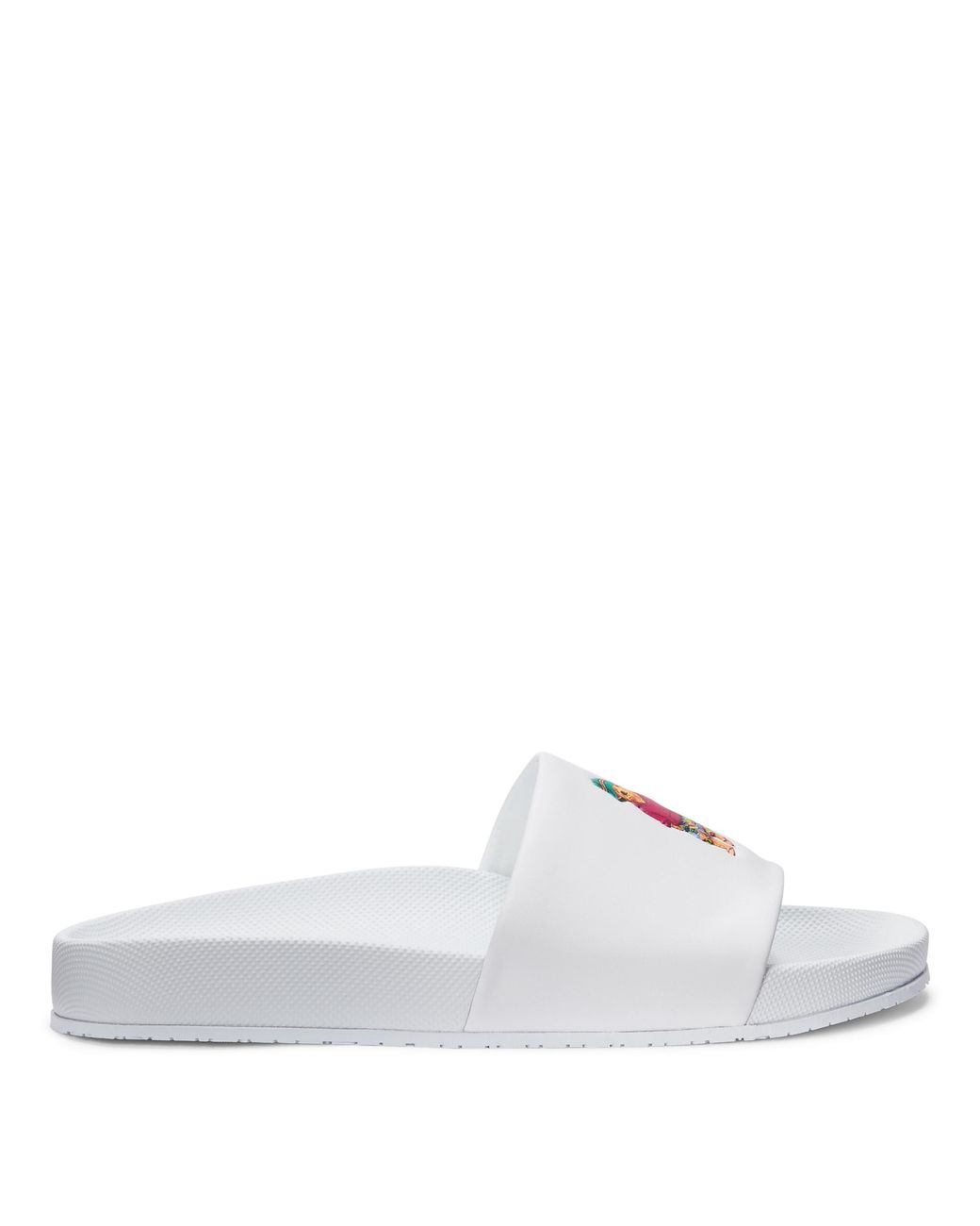 polo bear sliders