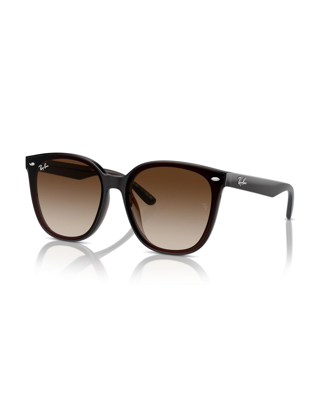 Ray-Ban Black Rb4423d Sunglasses Frame Brown Lenses