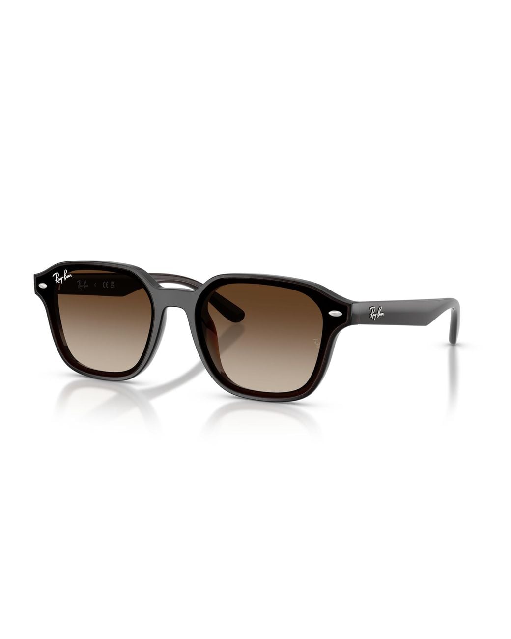 Ray-Ban Black Rb4458d Sunglasses