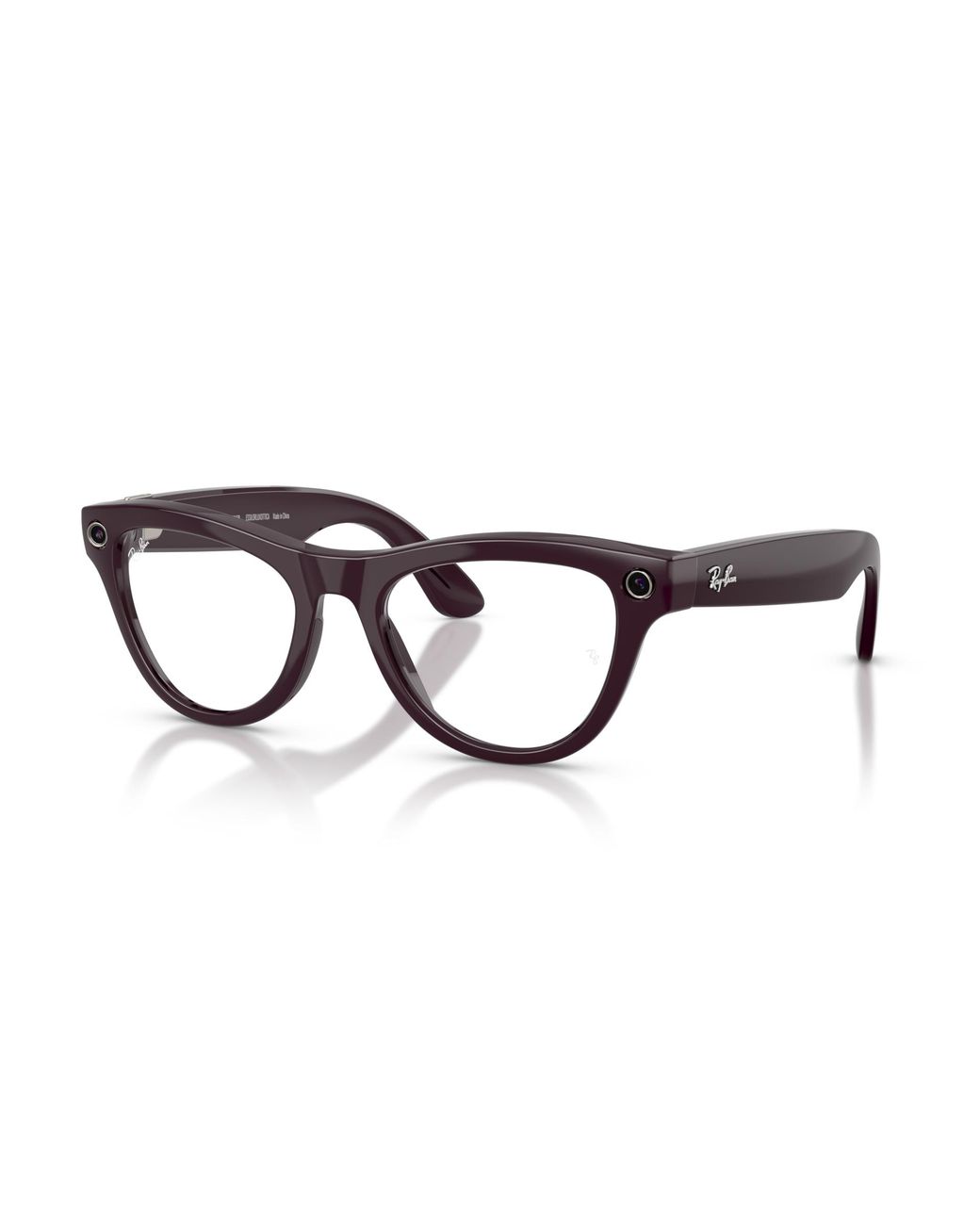 Ray-Ban Black Meta Frame Violet Lenses Ai Glasses