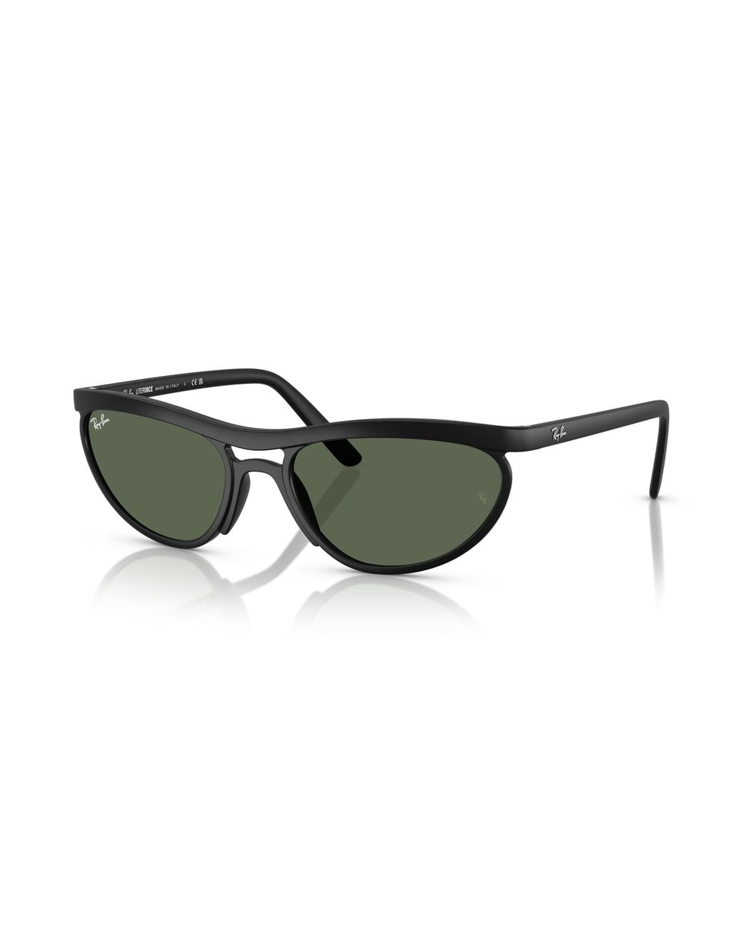 Ray-Ban Black Rb4453 Sunglasses