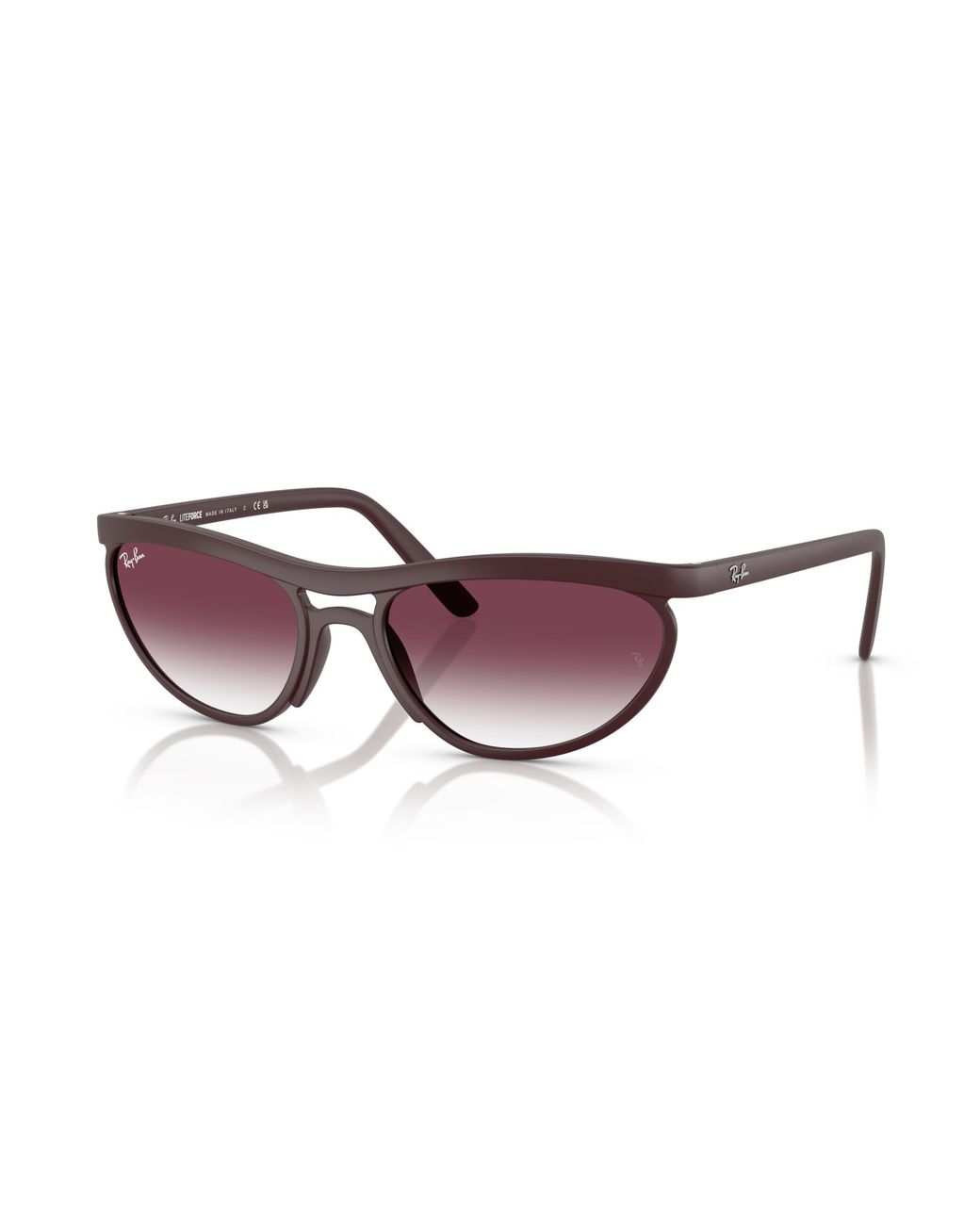 Ray-Ban Black Predator Liteforce Sunglasses Frame Violet Lenses