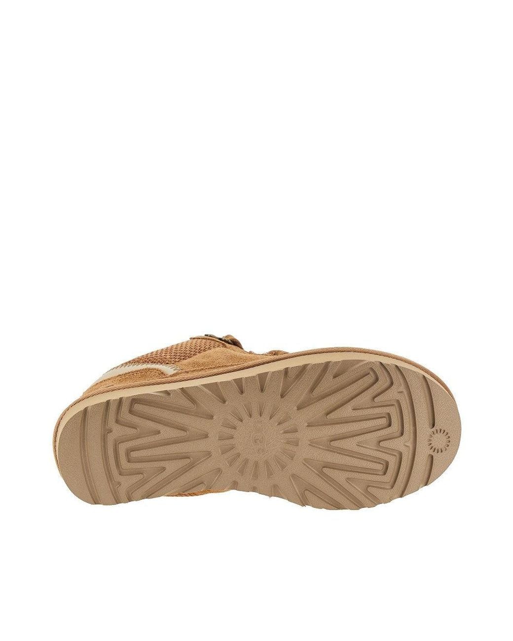 Ugg Brown 'Lowmel' Sneakers