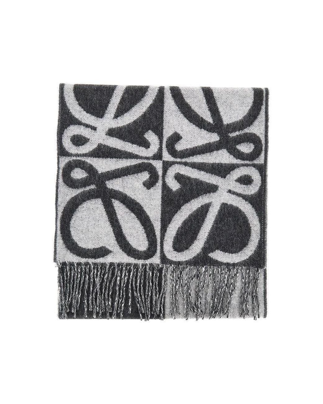 Loewe Metallic Wool And Cashmere Scarf for men