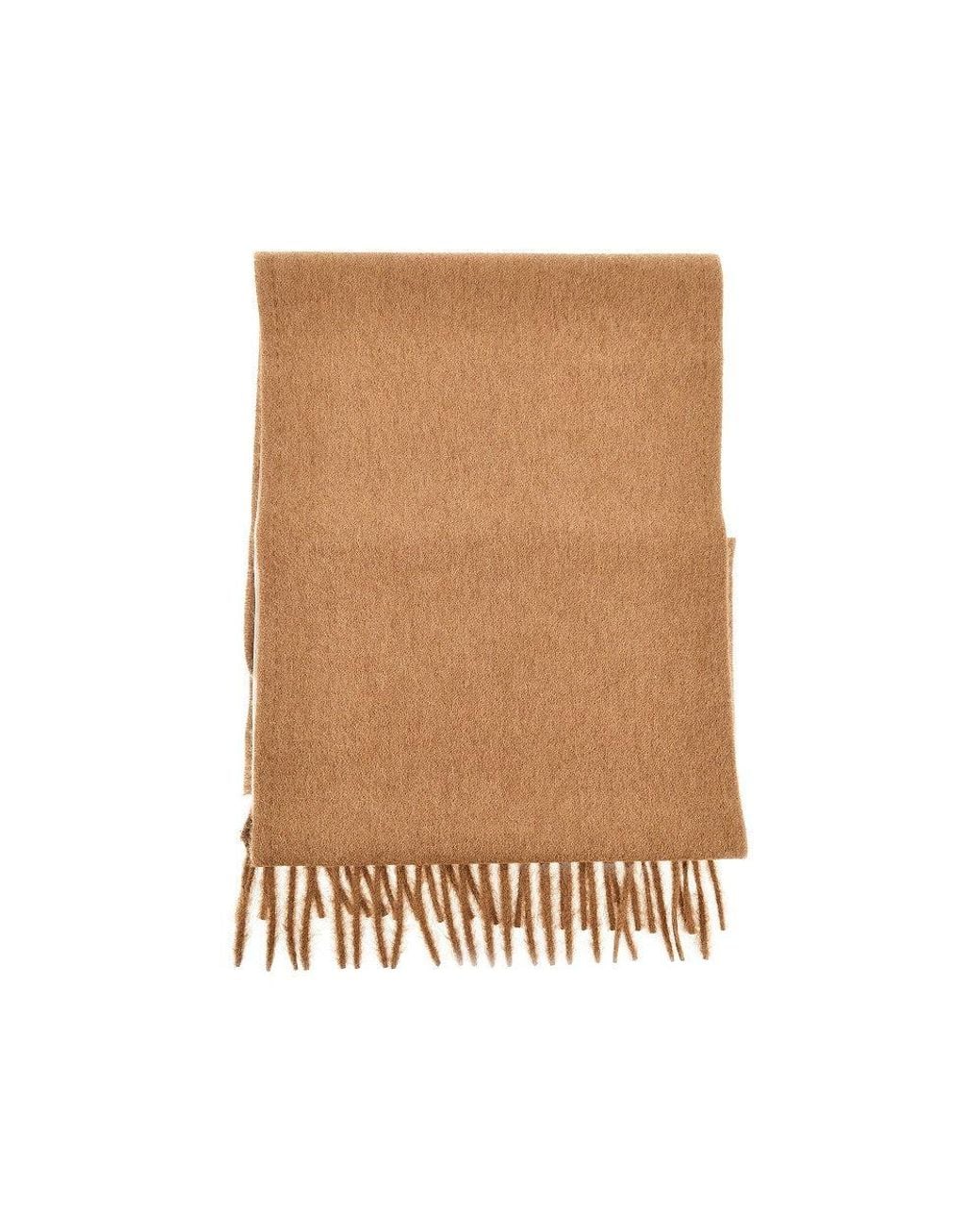 Max Mara Brown Monogram Embroidery Cashmere Scarf
