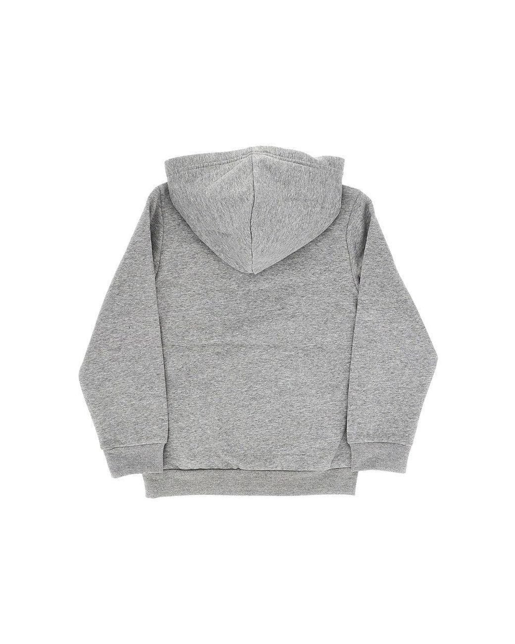 The North Face Gray Evolution Simple Dome Hoodie