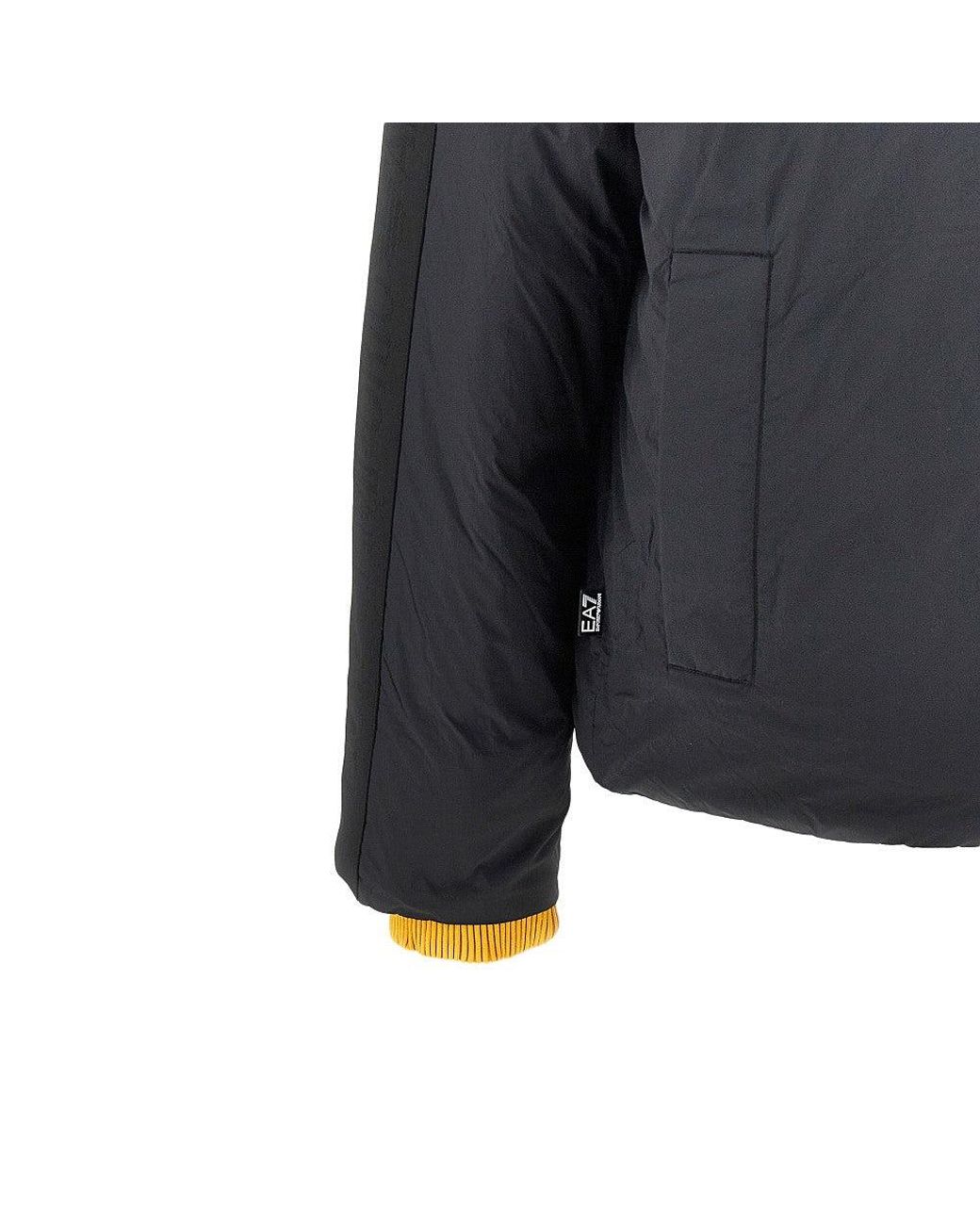 EA7 Blue Oversized Padded Jacket With Logoed Bands for men