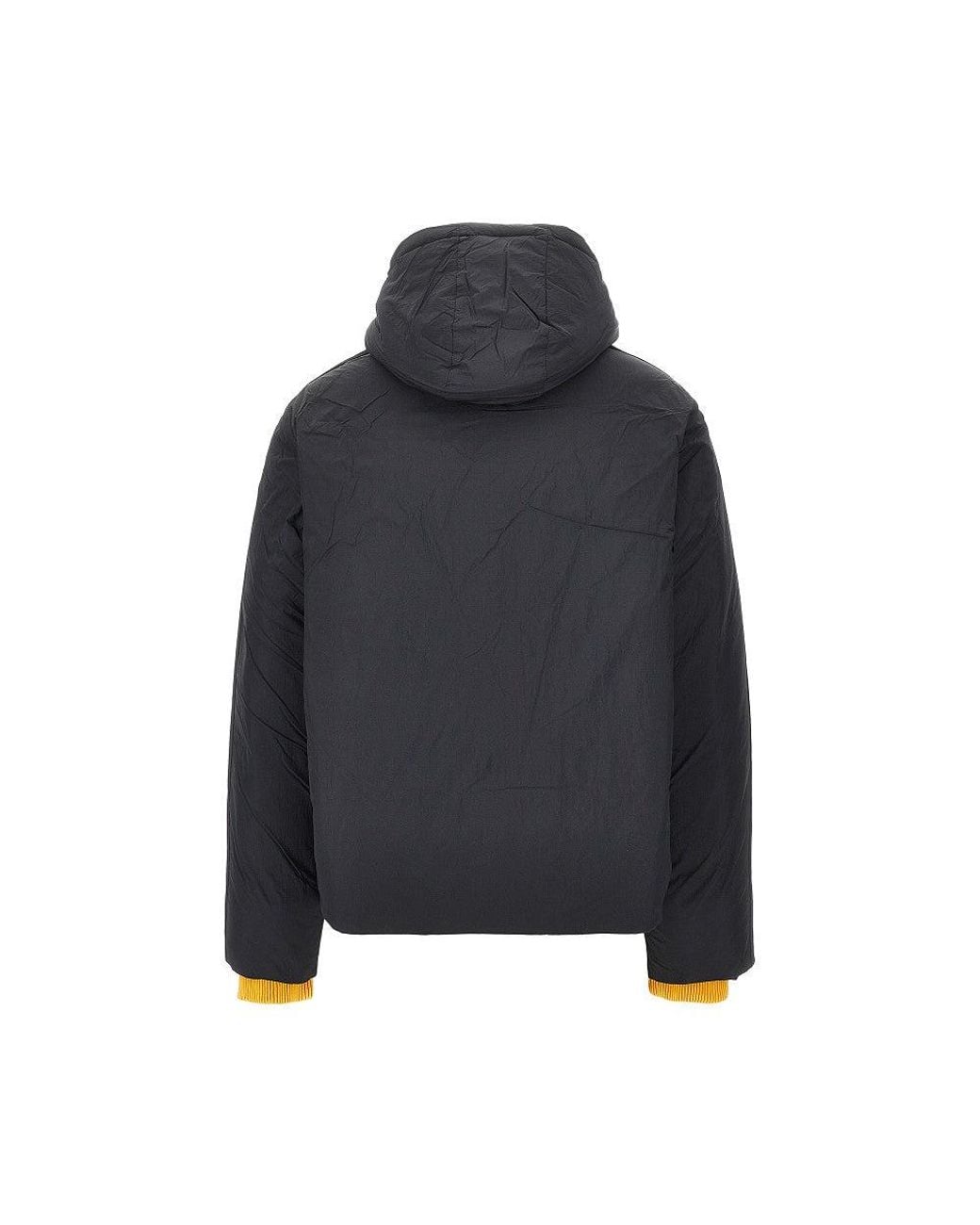 EA7 Blue Oversized Padded Jacket With Logoed Bands for men