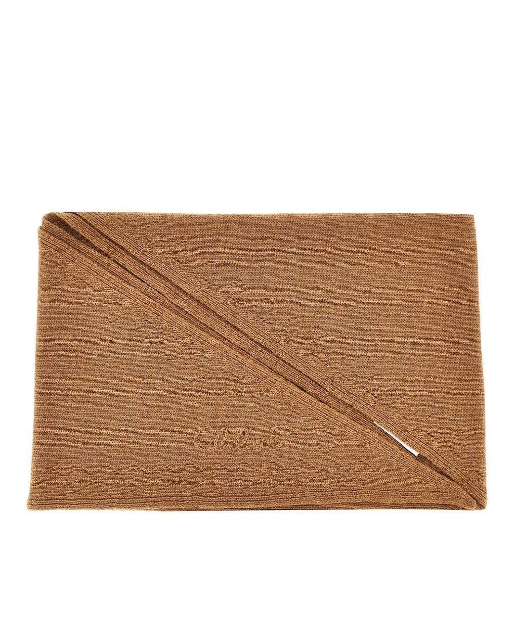 Chloé Brown 'Chloé Iconic' Triangle Scarf