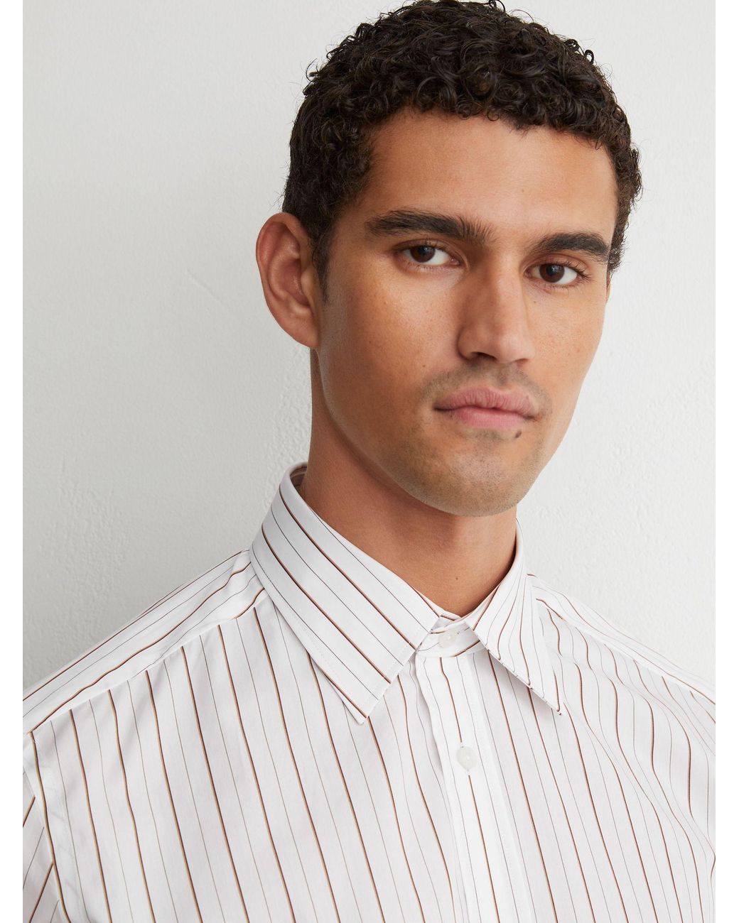 Reiss Gray Stripe Cotton Pinstripe Spread-Collar Shirt Regular-Fit for men