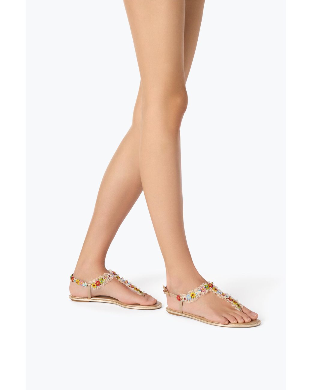 Rene Caovilla White Bloom Nude Flat Sandal 10