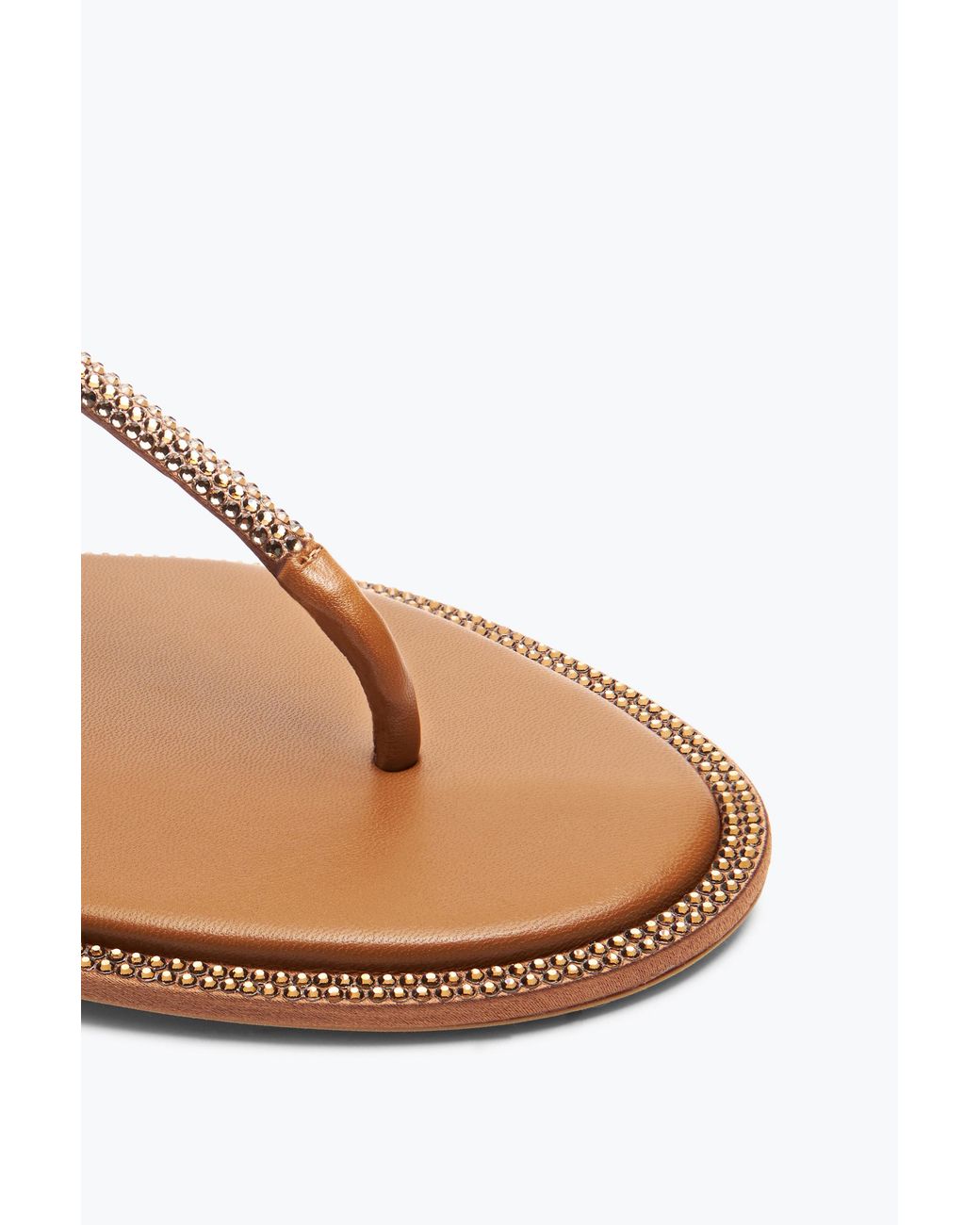 Rene Caovilla Multicolor Diana Cognac Sandal With Crystals 10