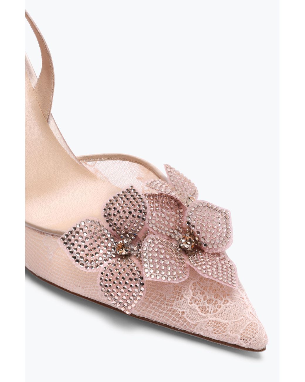 Rene Caovilla Pink Floriane Powder Slingback 80