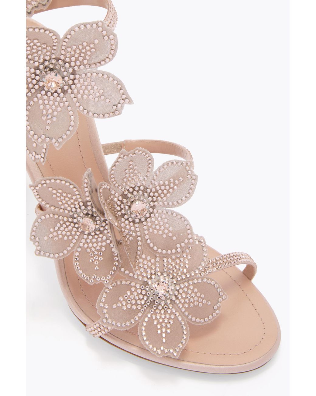 Rene Caovilla White Peach Flower Blush Sandal 105