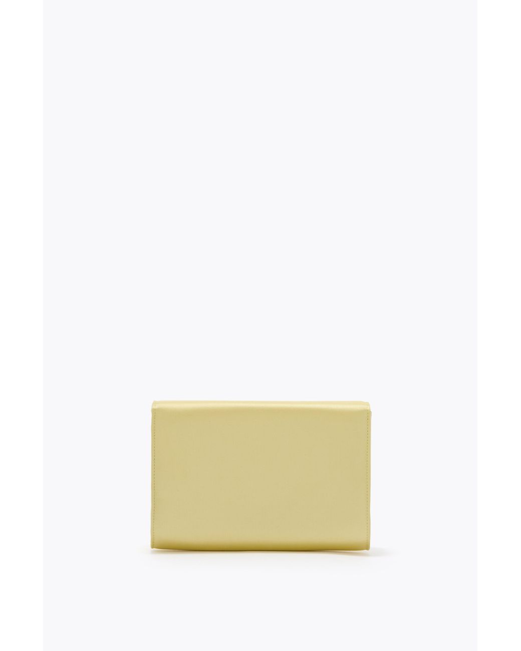 Rene Caovilla Multicolor Baby Clutch