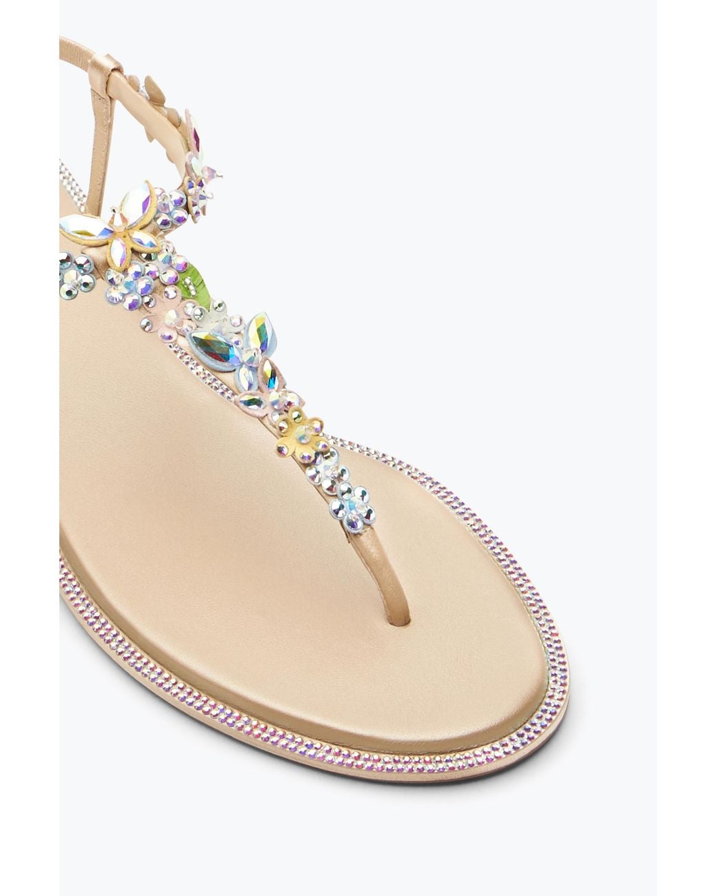 Rene Caovilla Natural Eden Thong Sandal 10