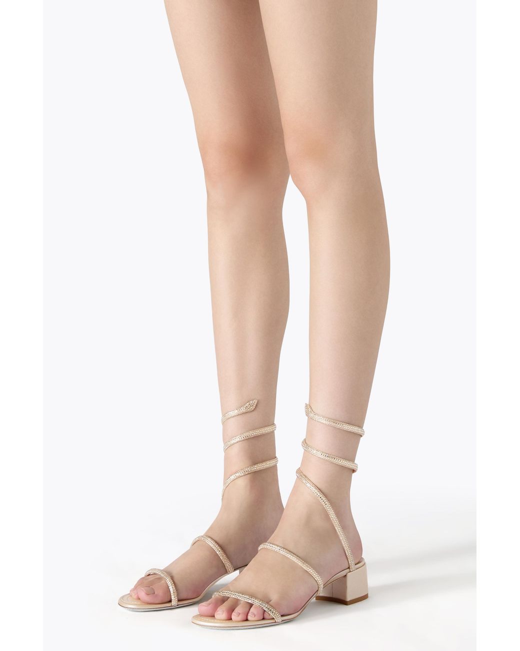 Rene Caovilla White Sandalo Cleo Oro 40