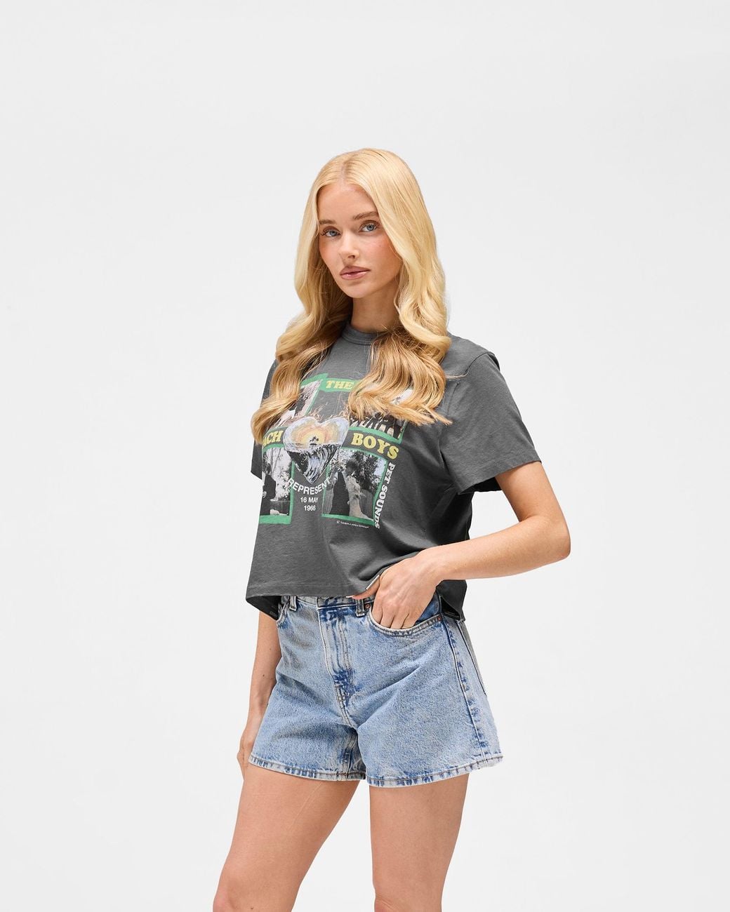 Represent Gray Represent X Beach Boys Pet Sounds T-Shirt