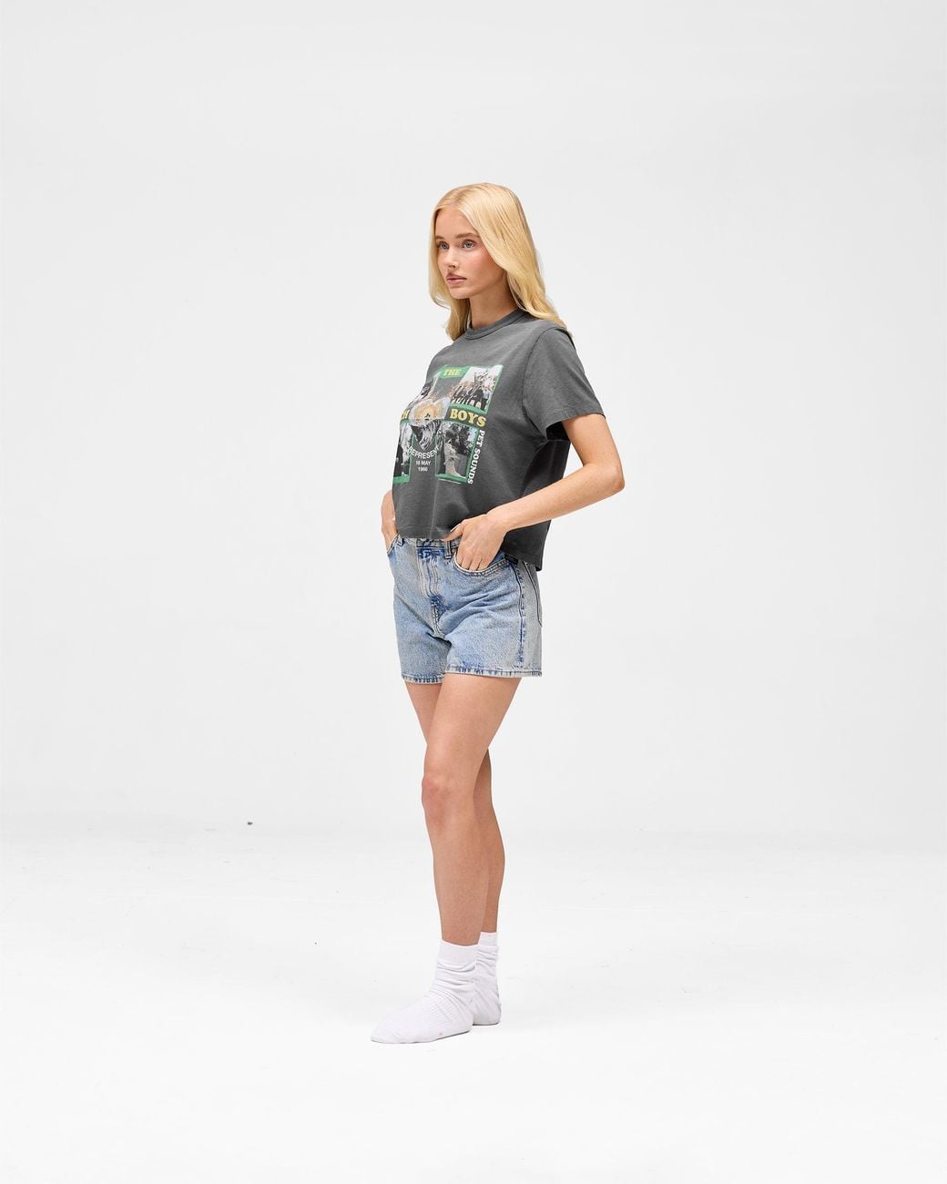 Represent Gray Represent X Beach Boys Pet Sounds T-Shirt