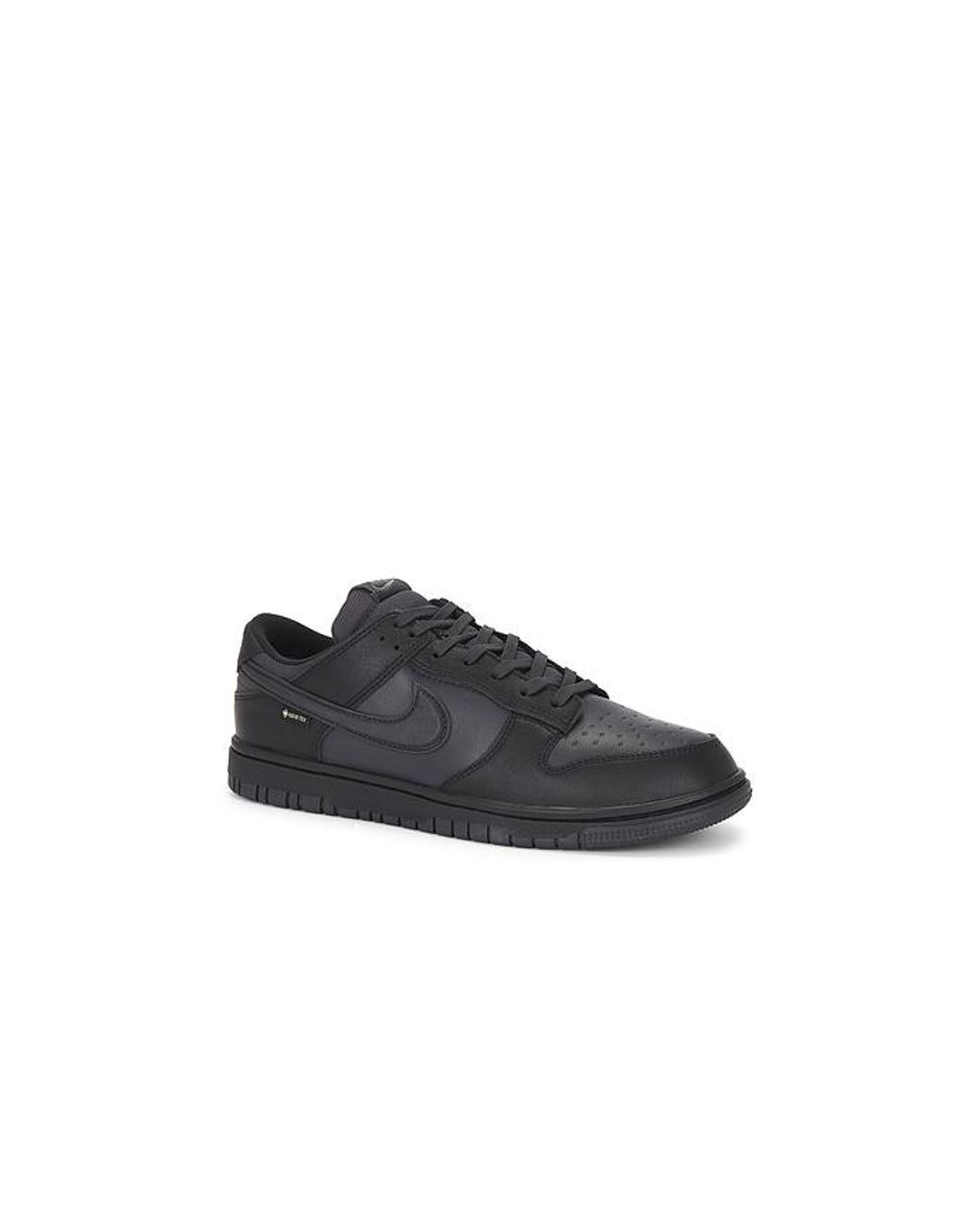 Nike Black Dunk Low Gtx for men