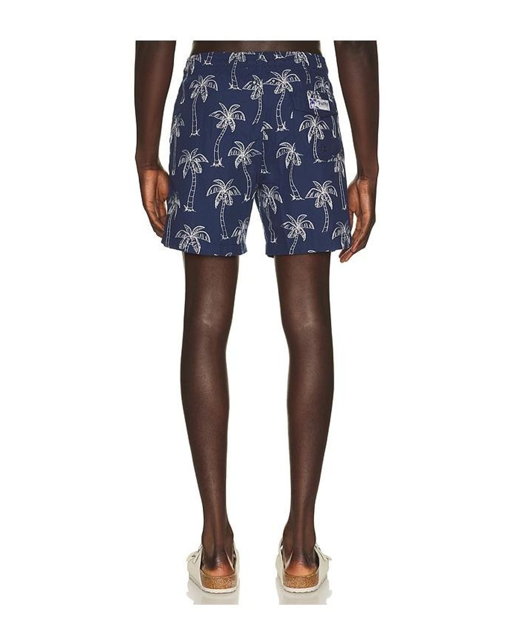 Trunks Surf & Swim Blue Sano 6.5 Swim Short for men