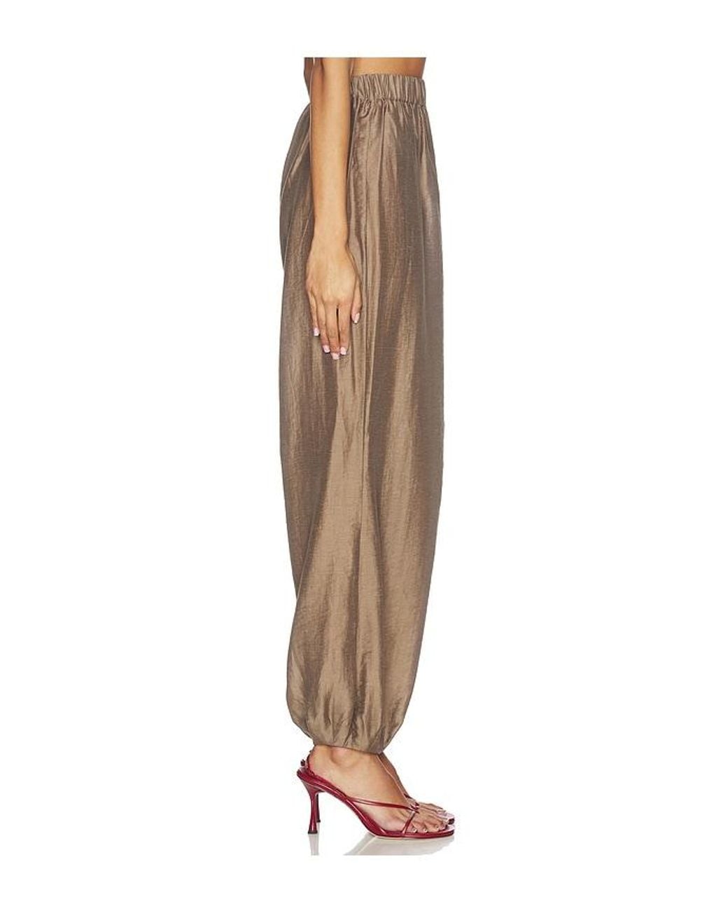 L'academie Natural 'Academie Harmi Pant