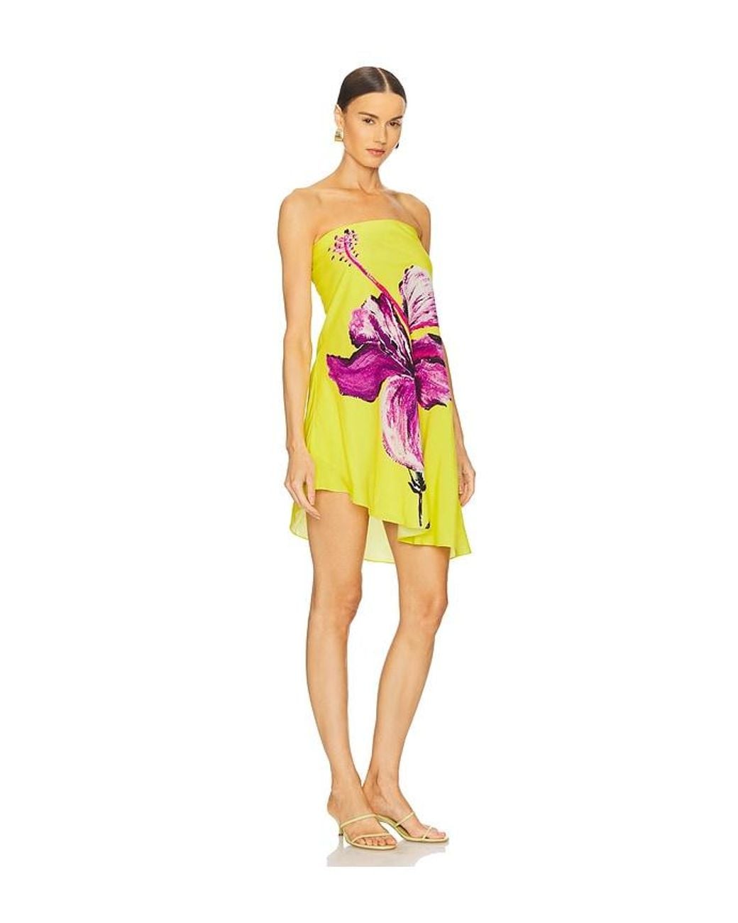 Rococo Sand Multicolor Mini Dress