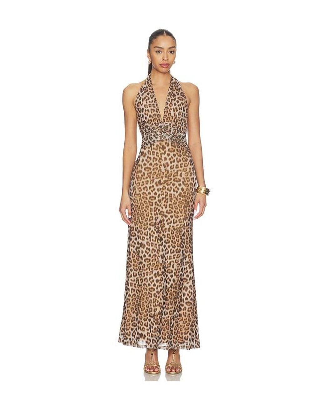Bardot Natural Elera Printed Mesh Maxi Dress