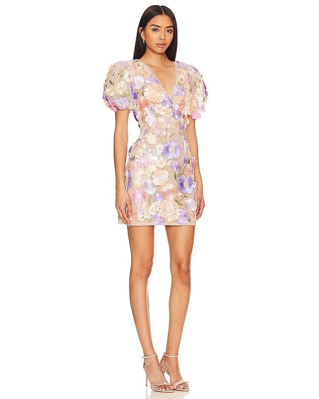 Elliatt Multicolor Anthea Dress