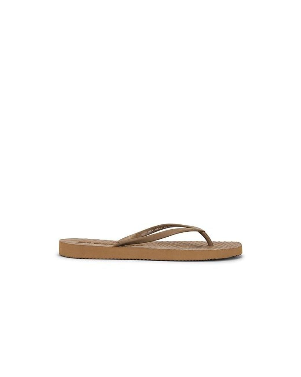 Sleeper Brown Flip Flops Tapered