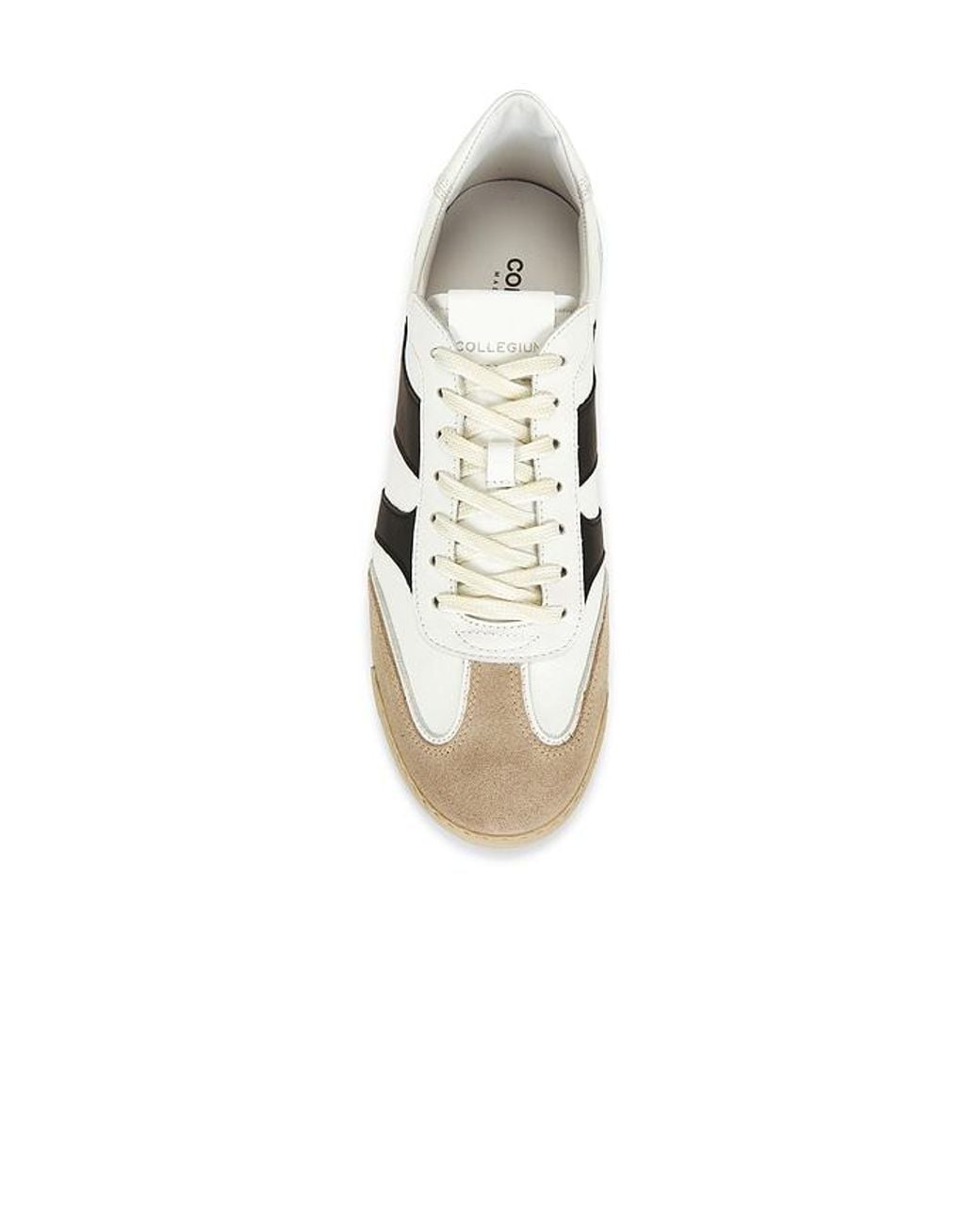 Collegium Multicolor Pillar Pista for men