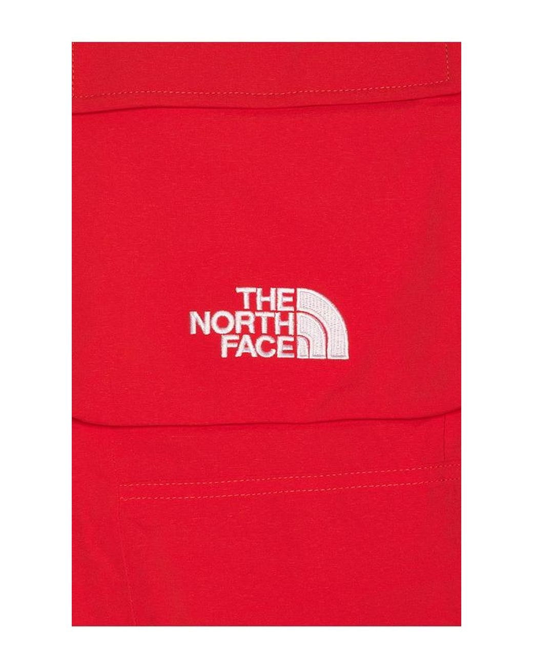 The North Face Red Freedom Insulated Pant for men