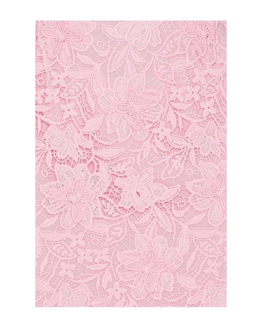 Generation Love Pink Makaia 3D Butterfly Lace Dress