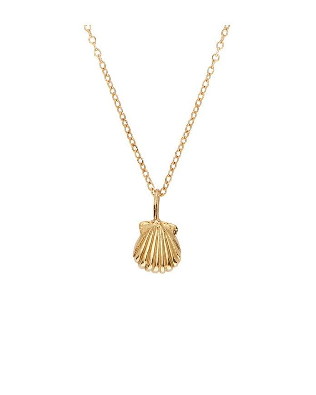 Studio Conchita White Conchita Necklace