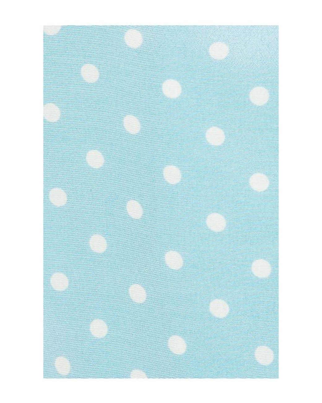 For Love & Lemons Blue August Mini Dress