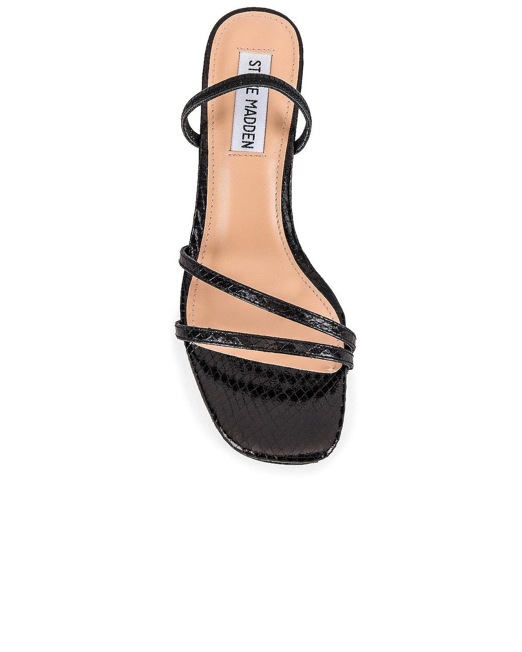 Steve Madden Loft Kitten Heel in Black Snake (Black) | Lyst