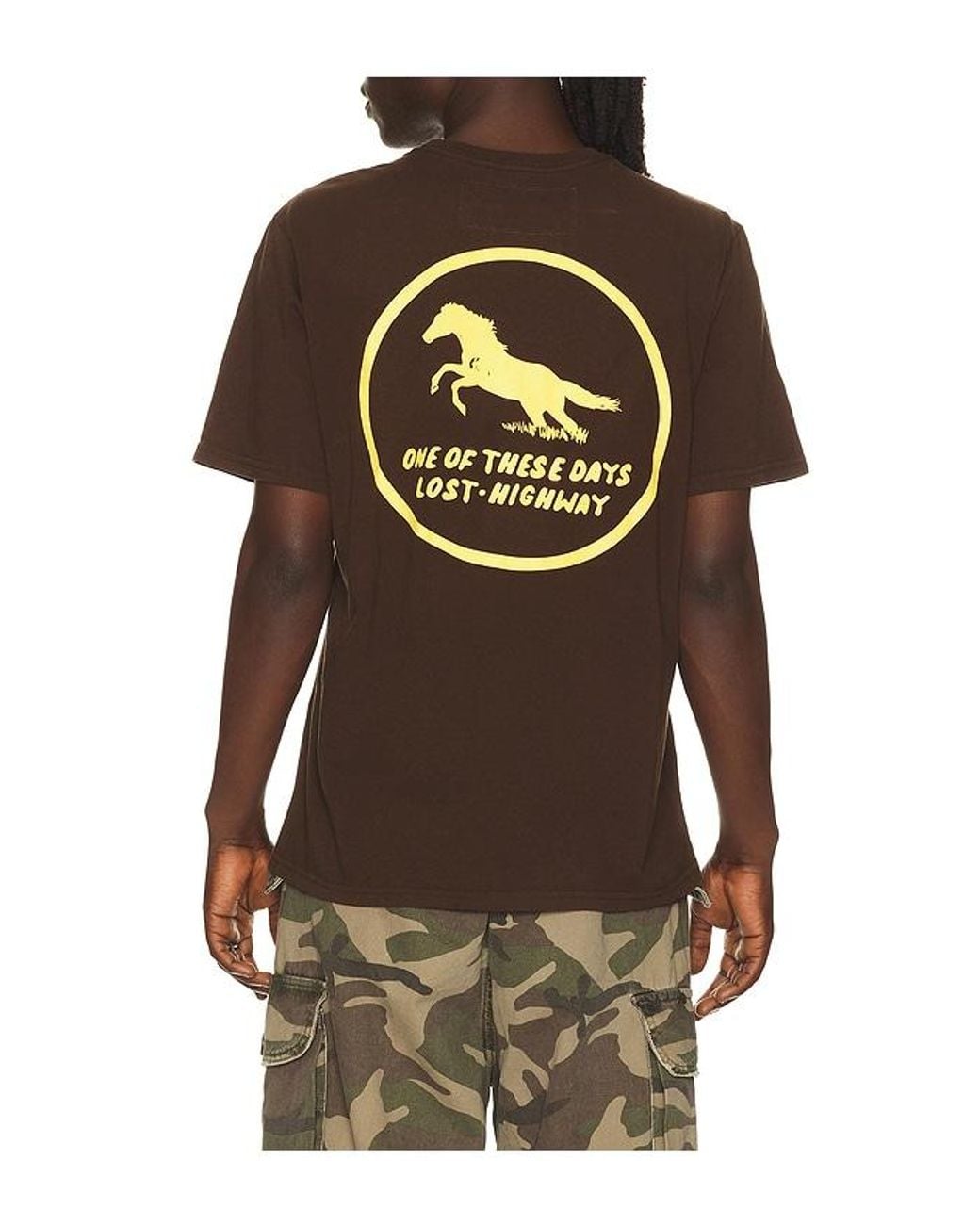 One Of These Days Brown Painted Horse Tshirt for men