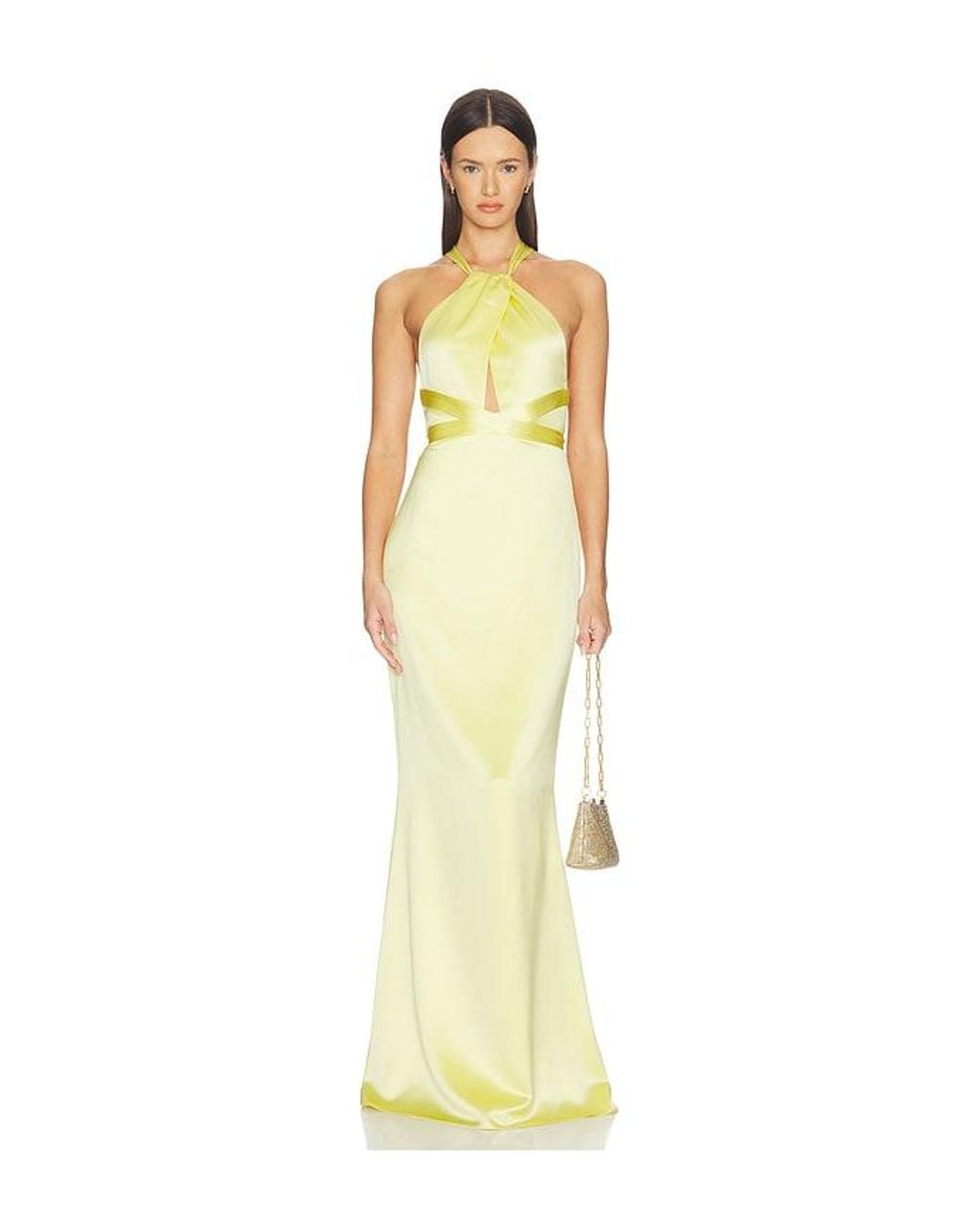retroféte Metallic Magnolia Dress