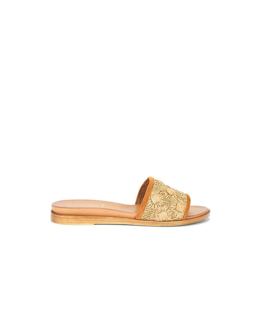 Seychelles White Dakota Sandal