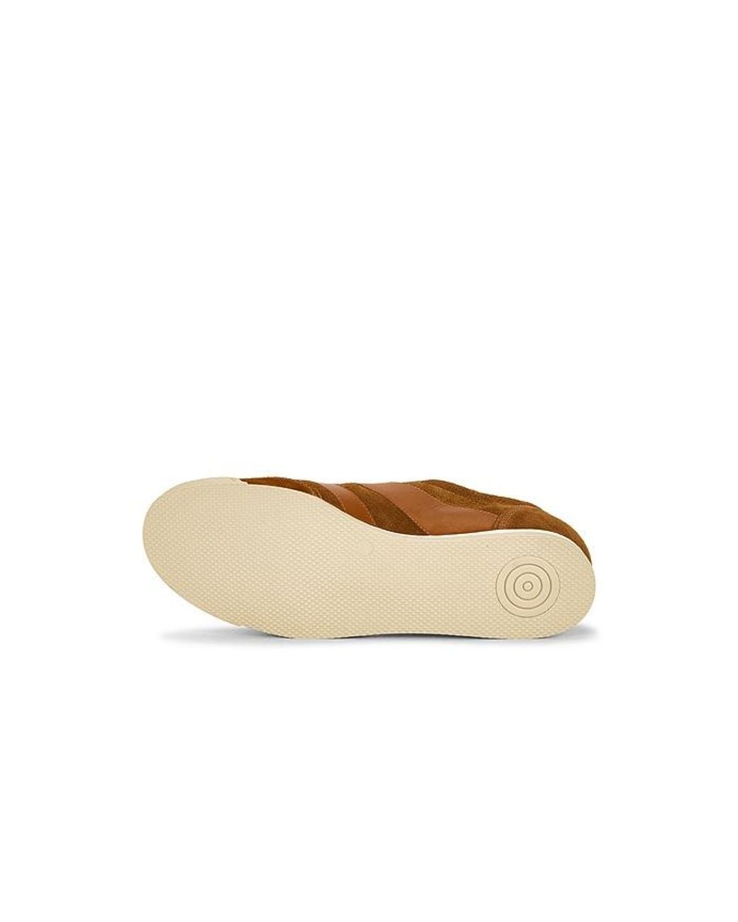 Collegium Brown Pillar Pista for men