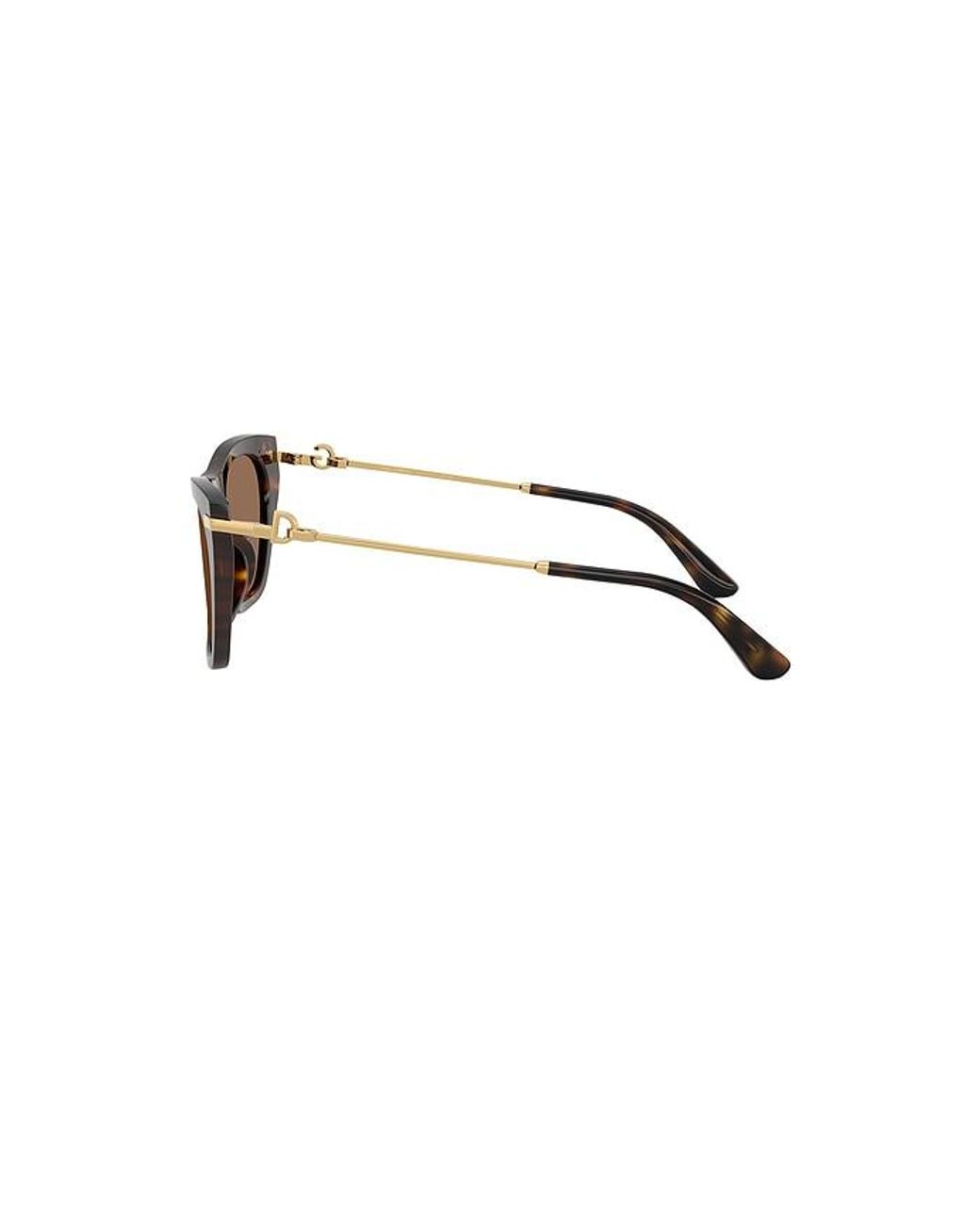 Dolce & Gabbana Brown Cat Eye Sunglasses