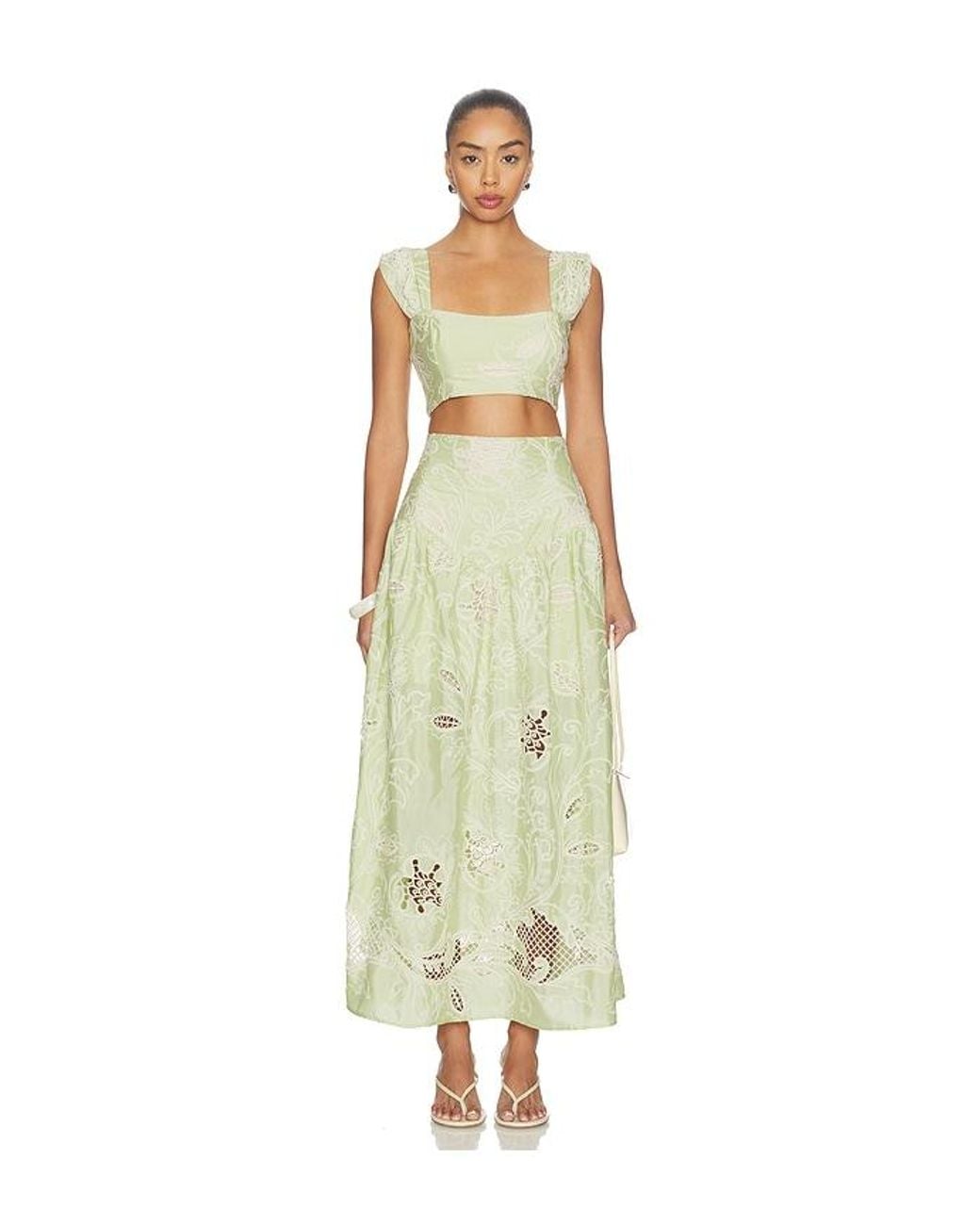 Especia Green Margarita Crop Top