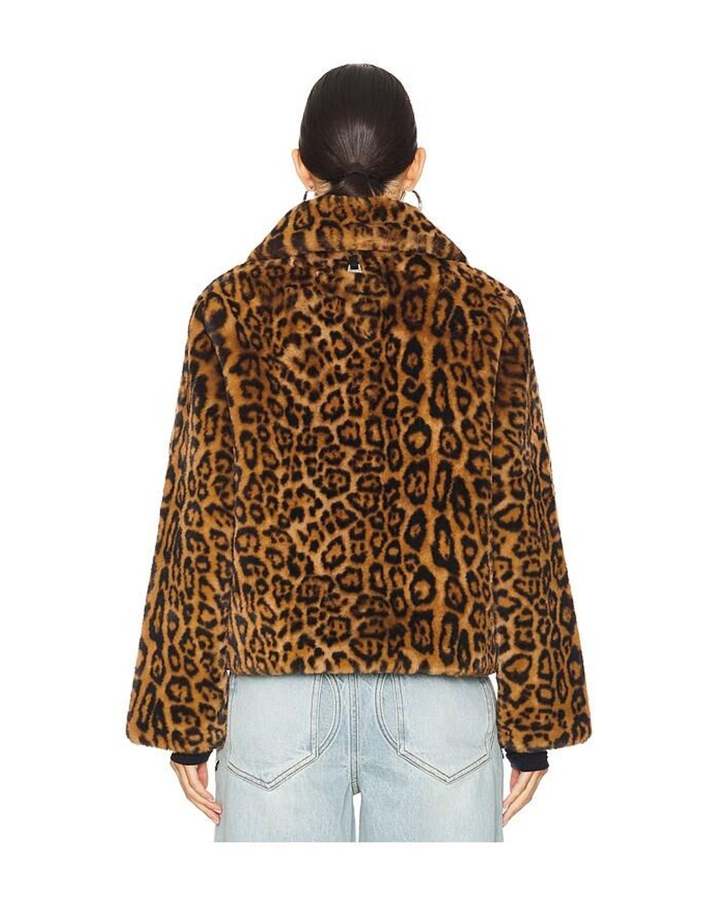 Apparis Brown Elis Short Coat