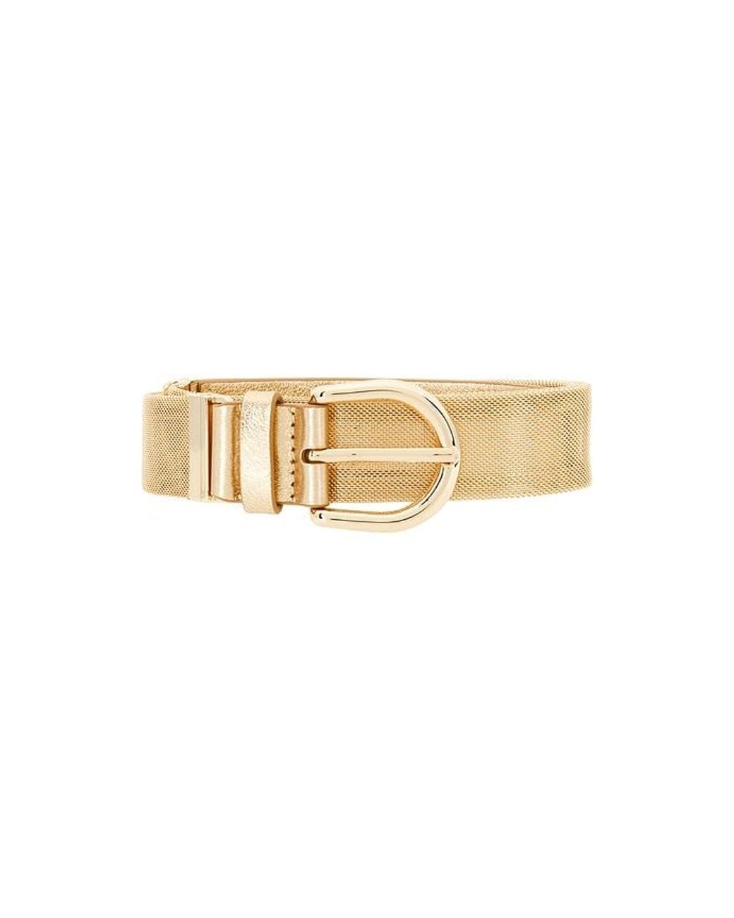 Mother Multicolor The Belt