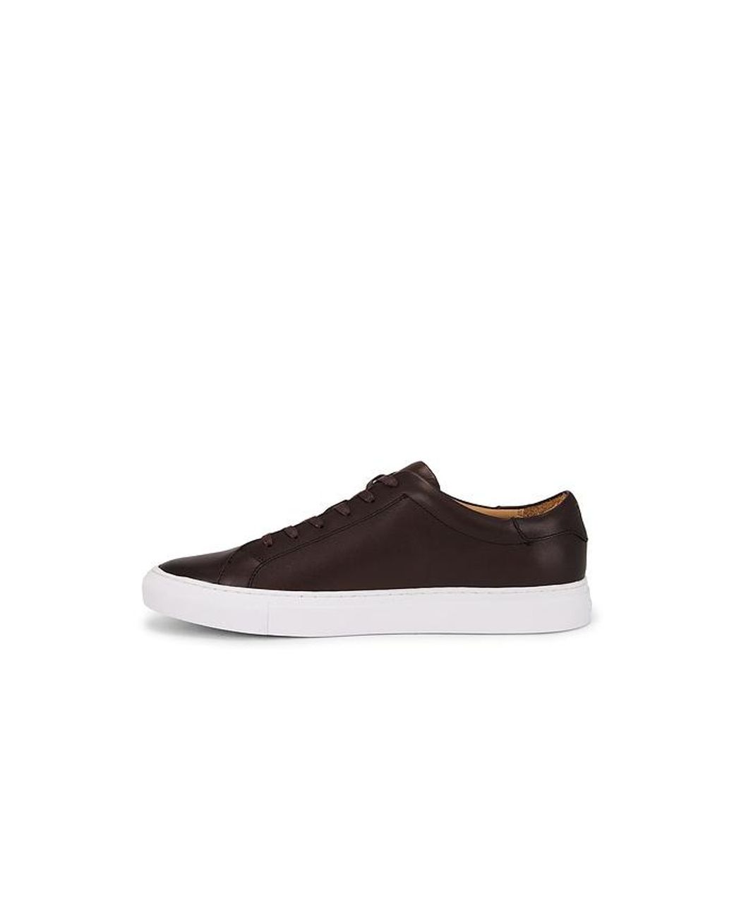 Polo Ralph Lauren Multicolor Jermain Ii Sneaker for men