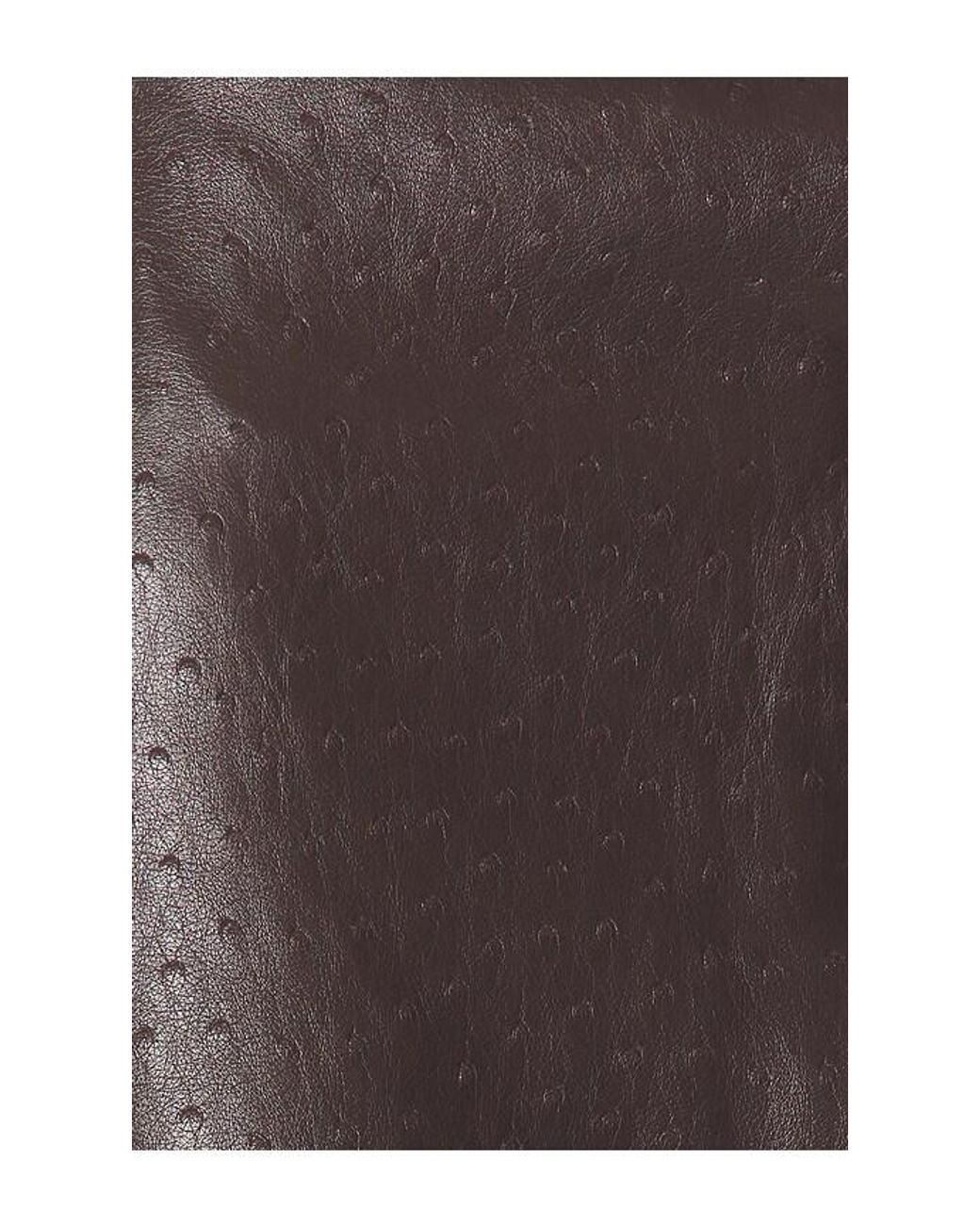 Blank NYC Brown Faux Leather Jacket
