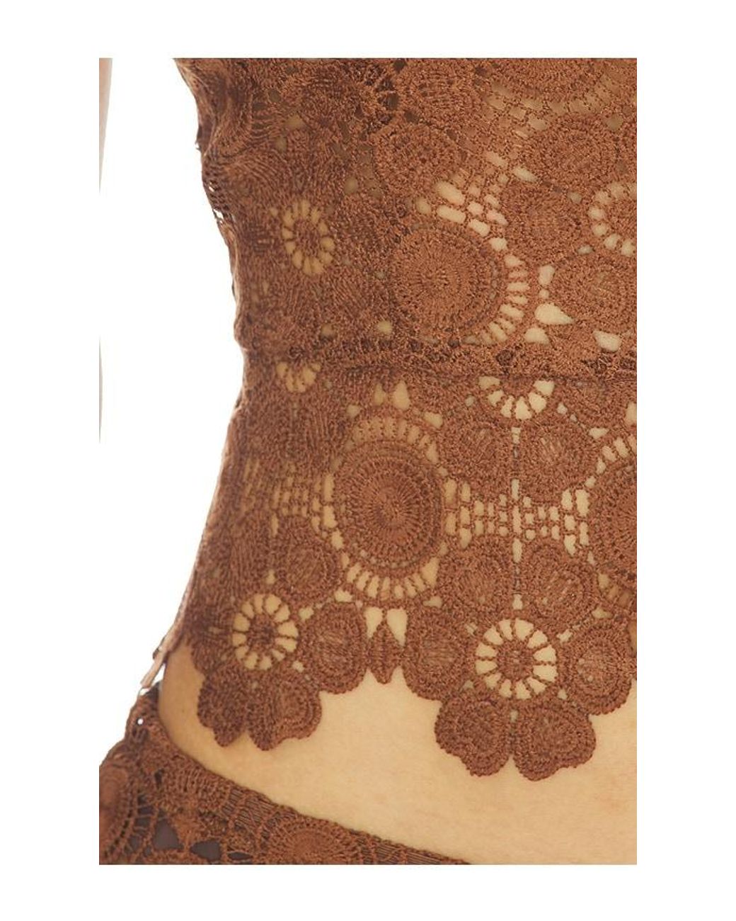 Lioness Brown Trophy Halter