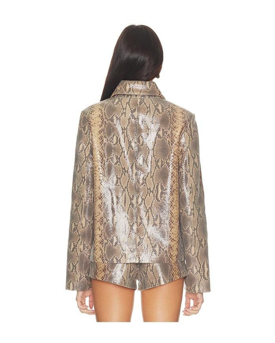 Chaqueta Blouson Leather En Color Marrón Talla (También En Xs, M) Mimchik de color Brown